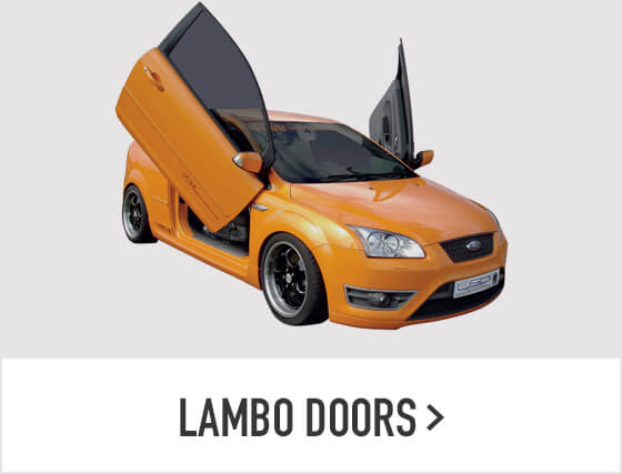 Lambo Doors