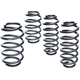 Eibach E2070-140 Performance Pro-Kit Springs