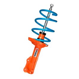 Koni (1120 4841) Suspension Kit