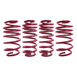 Buy Vogtland Sport Lowering Springs - 950008 | Demon Tweeks