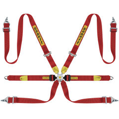 Sabelt Silver Endurance 6 Point Harness