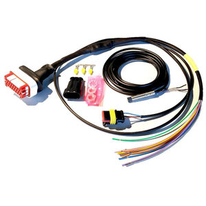 AIM Motorsport Strada Vehicle Integration Loom