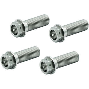 Dog's Bolts Hex Drilled Stainless Steel Brake Caliper Bolts