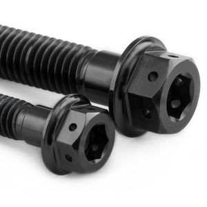 Pro-Bolt Titanium Engine Bolt Kit