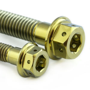 Pro-Bolt Titanium Engine Mounting Bolt Kit