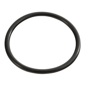 Flo-Fast Fuel Jug Replacement O Ring Seal