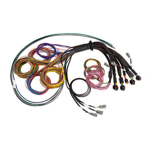 Haltech Universal Wiring Harness For Nexus R5 VCU