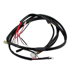 Rotax Kart Wiring Harness