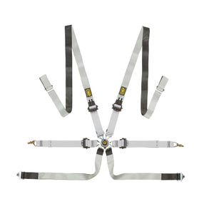 OMP One-D 2 Pull Down Saloon 6 Point Dyneema Harness