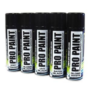 Pro Clean Pro-Paint