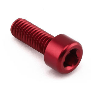 Pro-Bolt Aluminium Screen & Mirror Mounting Bolt Kit