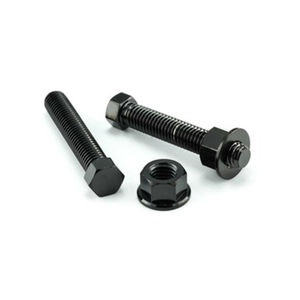 Pro-Bolt Stainless Steel Axle Adjuster Bolt Kit