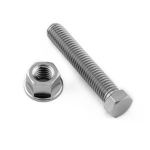 Pro-Bolt Titanium Axle Adjuster Bolt Kit