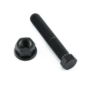 Pro-Bolt Titanium Axle Adjuster Bolt Kit