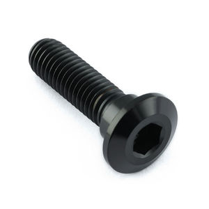 Pro-Bolt Titanium Rear Brake Disc Bolt Kit