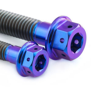 Pro-Bolt Stainless Steel Rear Brake Reservoir & Master Cylinder Bolt Kit