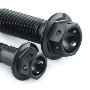 Pro-Bolt Titanium Chain Guard Bolt Kit