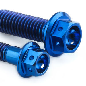Pro-Bolt Titanium Chain Guard & Hugger Bolt Kit