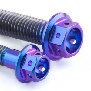 Pro-Bolt Titanium Chain Guard Bolt Kit