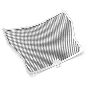 R&G Racing Titanium Racing Radiator Guard