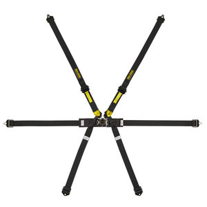 Race Safety Accessories Pro 6 Point Single Seater Harness
