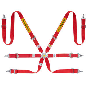 Sabelt Silver Saloon / Rally 6 Point Harness