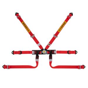 Sabelt Silver Formula 6 Point Harness