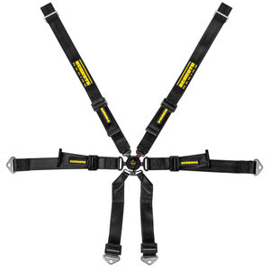 Schroth Porsche 2x2 Harness