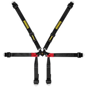 Schroth Formula 2x2 Harness