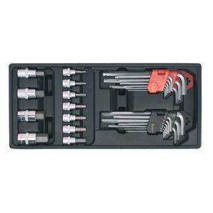 Sealey Tool Tray with Hex/Ball-End Hex Keys and Socket Bit Set 29pc - TBT07