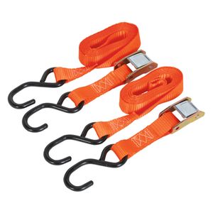 Sealey Cam Buckle Tie Down 25mm x 2.5mtr Polyester Webbing w/ S Hooks 500kg Load Test