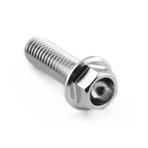 Pro-bolt Stainless Steel Speedometer Mount Bolt Kit