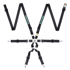 Takata Race 2x2 6 Point Harness
