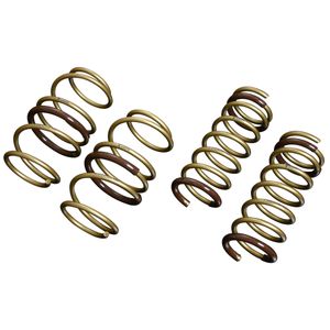 Tein H.Tech Spring Kit