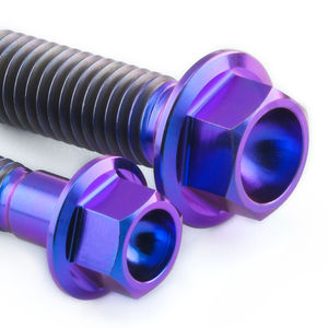 Pro-Bolt Stainless Steel Rear Brake Reservoir & Master Cylinder Bolt Kit