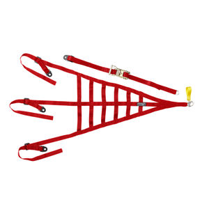 TRS Roll Cage Net
