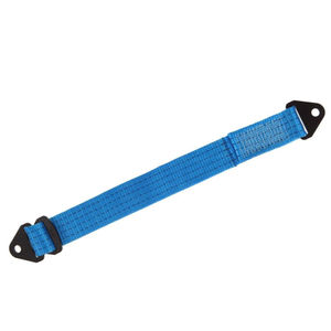 TRS Suspension Limiting Strap