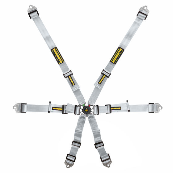 Schroth 5 point harness discount
