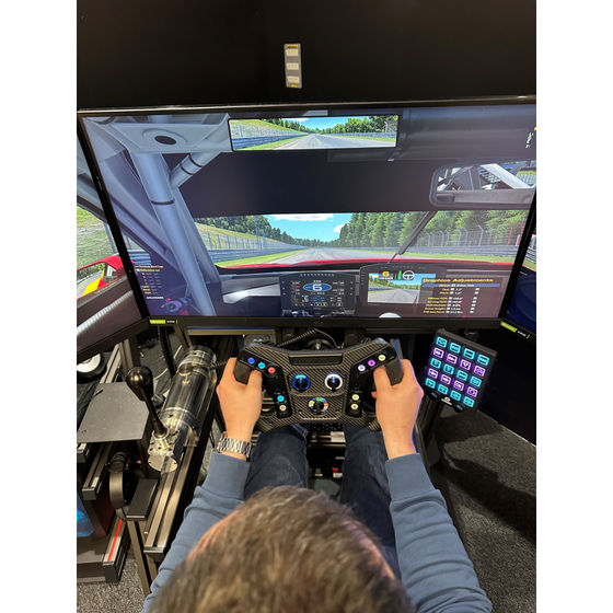 P.willinckii omg sporelling コルク付け 🐻 P. willinckii 'OMG